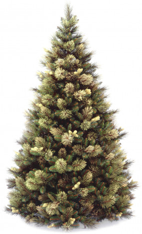 Искусственная ель Каролина заснеженная 243 см., ЛЕСКА + ПВХ, National Tree Company (31HCAPC80)