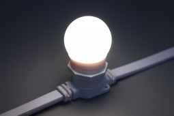 Светодиодная лампа для Белт-лайта холодная белая, 45 мм., 2Вт, Е27, Teamprof (TPF-B-E27-G45-2W-W)