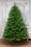 Искусственная елка Флоренция 240 см., 100% литая хвоя, ЕлкиТорг (129240) в Кемерово