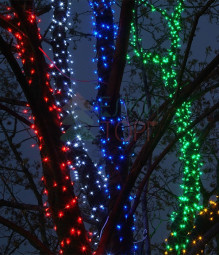Комплект гирлянды на деревья 100 м., 5 лучей по 20 м, 24V, 1000 синих LED ламп, черный ПВХ, Beauty Led (KDD1000-11-1B)