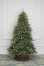 Искусственная елка Данхилл Снежная Сказка 228 см., National Tree Company (31HDUF575) в Кемерово